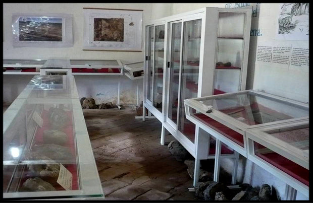 Glass display showcases exhibiting various ancient fossils inside the museum in Rosario Nuevo, Oaxaca, Mexico, presented by Aricio.